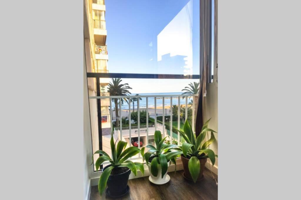 Apartamento Recien Reformado En Primera Linea Con Vistas A La Playa De La Almadraba ベニカシム エクステリア 写真