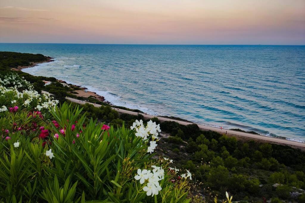 Apartamento Recien Reformado En Primera Linea Con Vistas A La Playa De La Almadraba ベニカシム エクステリア 写真