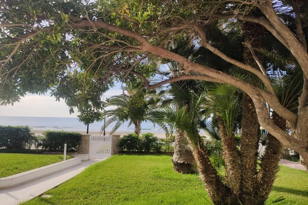 Apartamento Recien Reformado En Primera Linea Con Vistas A La Playa De La Almadraba ベニカシム エクステリア 写真